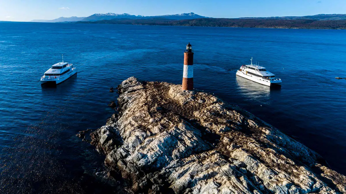 Cormorants nesting on a rocky islet in the Beagle Channel on a catamaran cruise from Ushuaia, Argentina